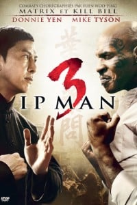 IP man 3 movie dual audio download 480p 720p 1080p