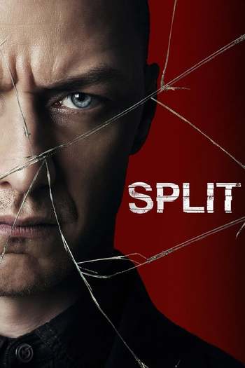 Split movie dual audio download 480p 720p 1080p