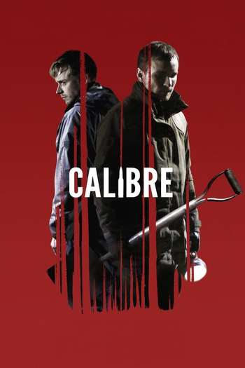 Calibre English download 480p 720p