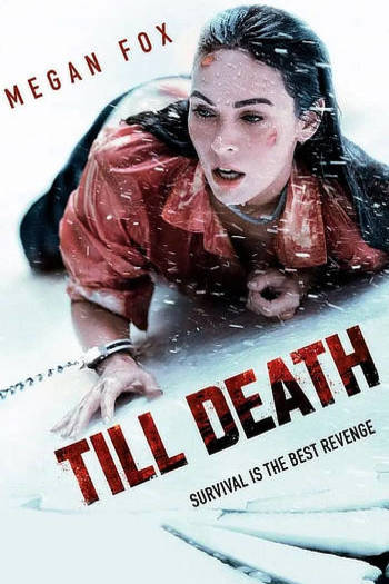 Till Death Dual Audio download 480p 720p