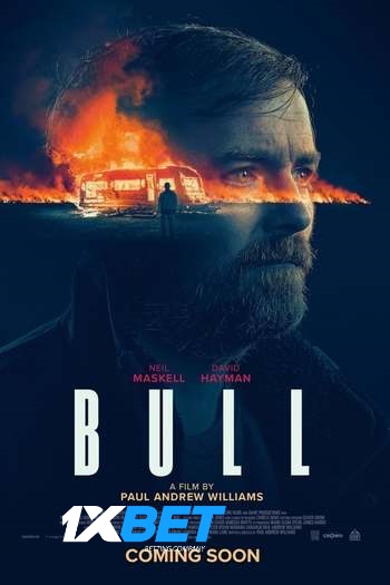 Bull Dual Audio download 480p 720p