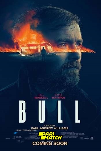 Bull movie dual audio download 720p