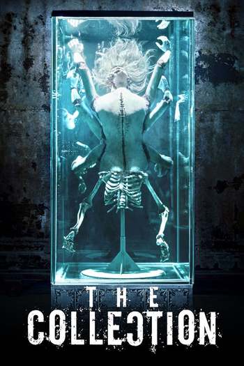 The Collection movie dual audio downlaod 480p 720p