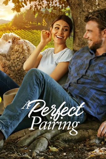 A Perfect Pairing movie dual audio download 480p 720p 1080p