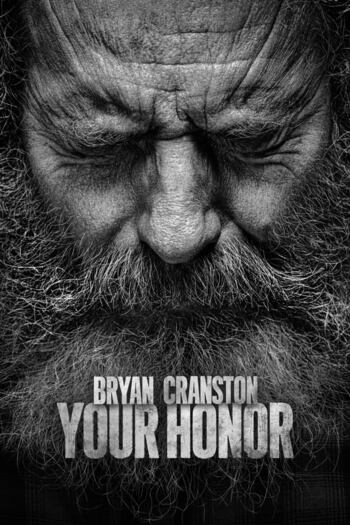 Your Honor season 1 dual audio download 720p