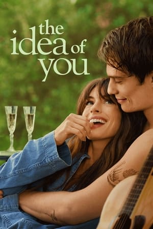 The Idea of You movie dual audio download 480p 720p 1080p