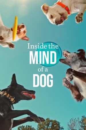 Inside the Mind of a Dog movie dual audio download 480p 720p 1080p