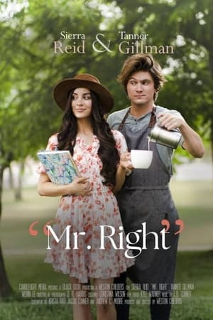 Mr. Right movie english audio download 480p 720p 1080p