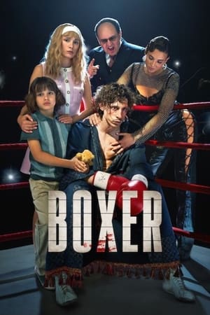 Boxer movie dual audio download 480p 720p 1080p