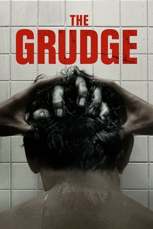 The Grudge movie dual audio download 480p 720p 1080p